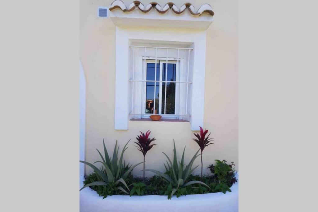 Casa Rustica Apartment Torremolinos Exterior photo